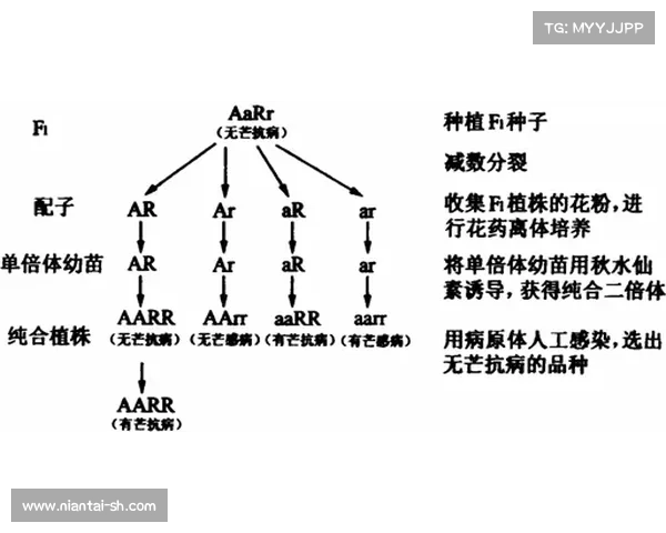冻伤机制的三大关键战斗策略与防治对策深入解析 冻伤机制的三大关键战斗策略与防治对策深入解析