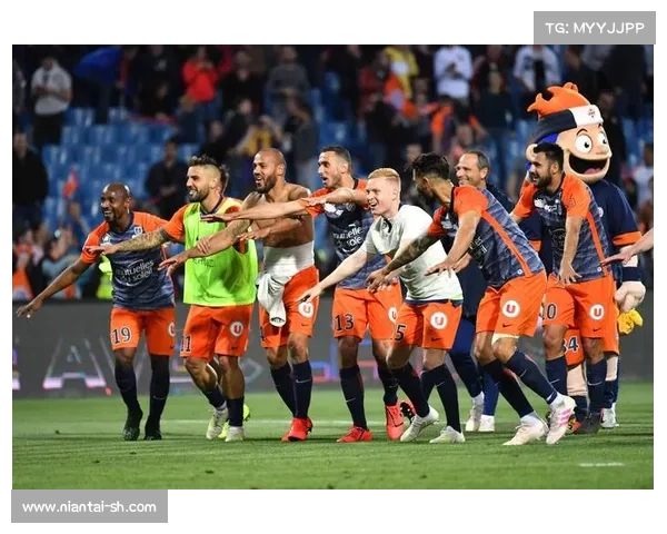 法甲冠军之谜：解析他们走向巅峰的成功历程与背后故事