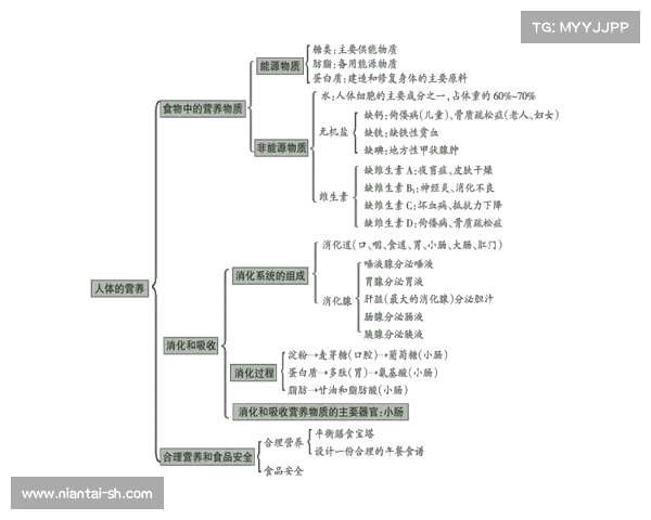 深入解析了解英足总杯第四圈规则对观赛体验和球队战略布局的重要意义