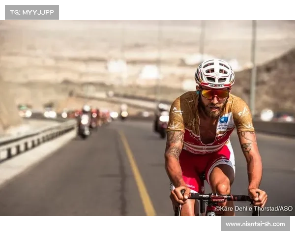 如何加入778车队并助力团队夺取冠军荣耀之路