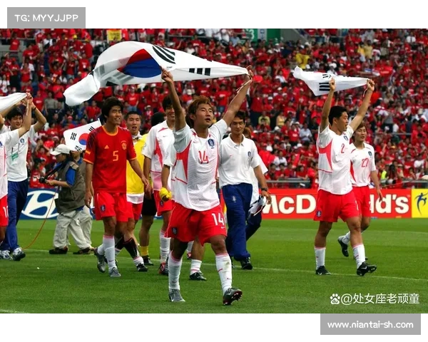 意大利足球联赛中韩国球员的成就与影响力分析